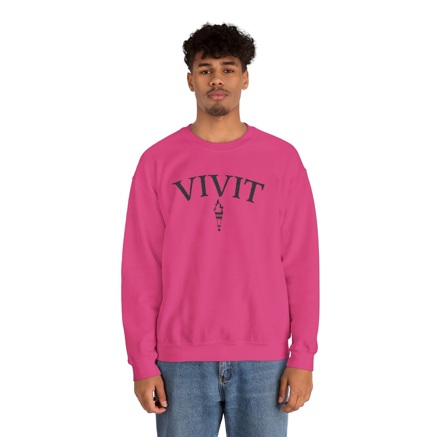 Vintage Style Unisex VIVIT Crewneck (Black Logo)