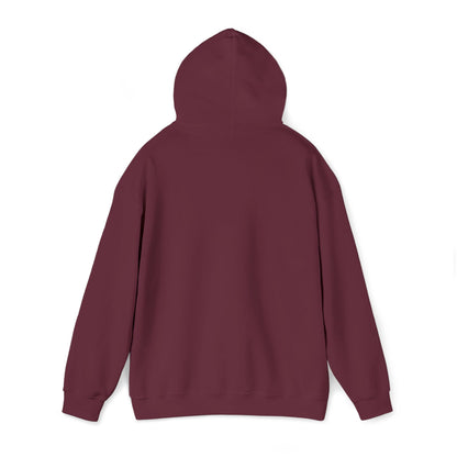 Vintage Style Unisex VIVIT Hoodie (White Logo)