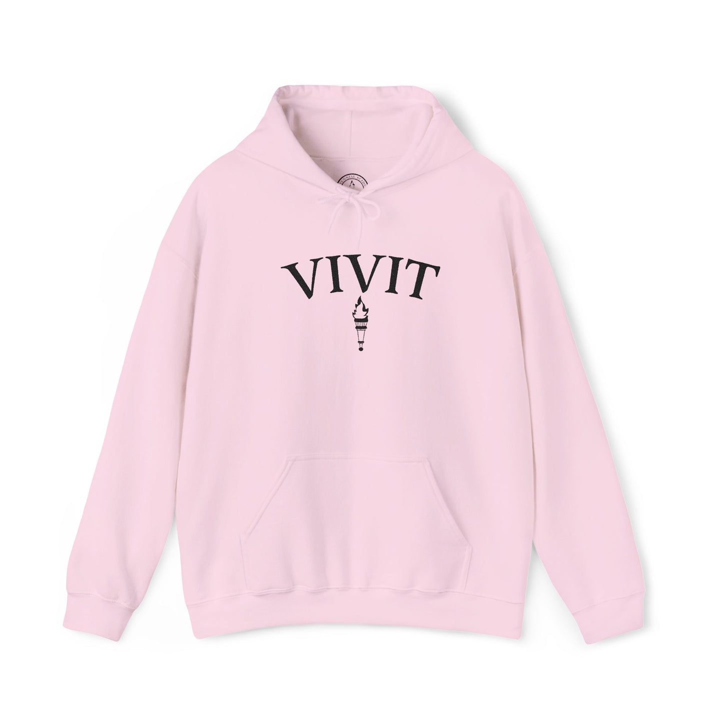 Vintage Style Unisex VIVIT Hoodie (Black Logo)