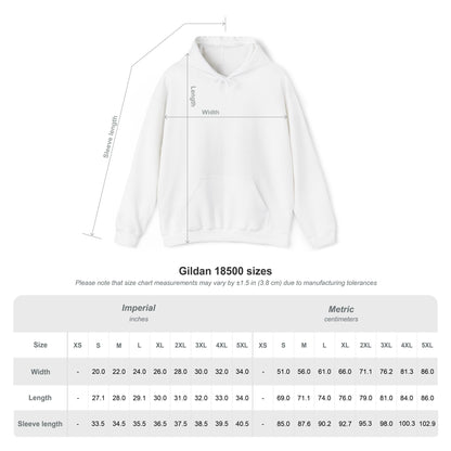 Unisex VIVIT Hoodie (Black Logo)
