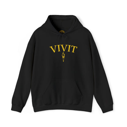 Vintage Style Unisex VIVIT Hoodie (Gold Logo)
