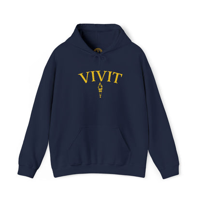 Vintage Style Unisex VIVIT Hoodie (Gold Logo)