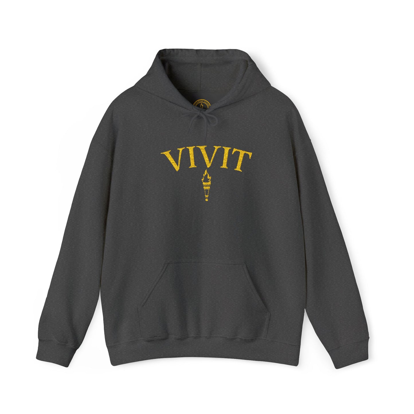 Vintage Style Unisex VIVIT Hoodie (Gold Logo)