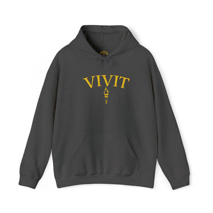 Vintage Style Unisex VIVIT Hoodie (Gold Logo)