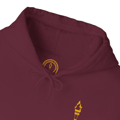 Unisex VIVIT Hoodie (Gold Logo)