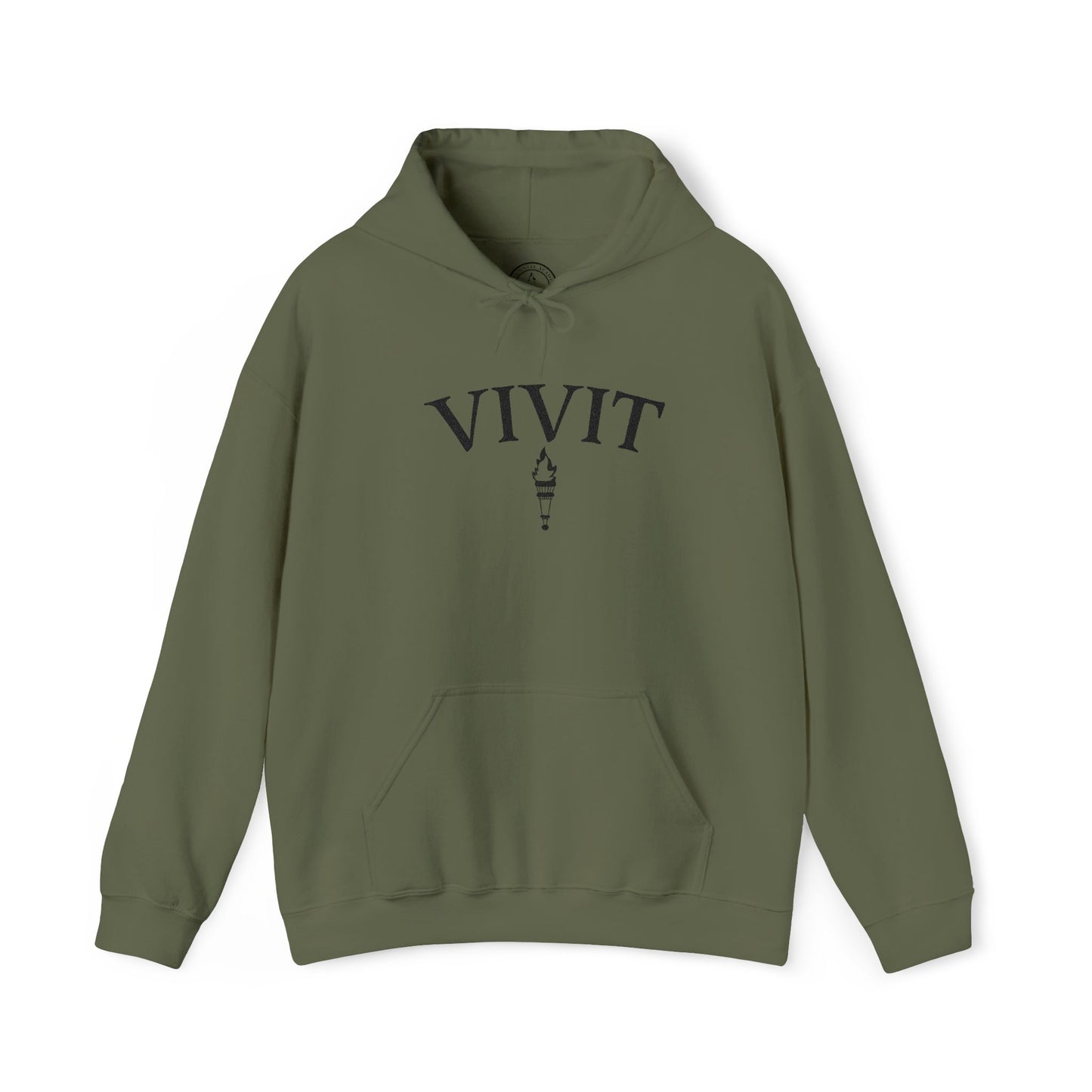 Vintage Style Unisex VIVIT Hoodie (Black Logo)