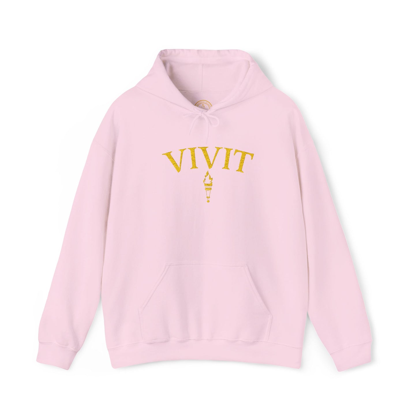 Vintage Style Unisex VIVIT Hoodie (Gold Logo)