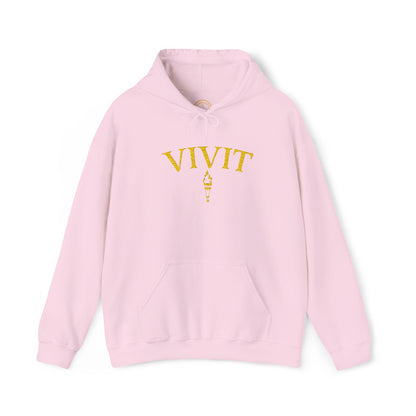 Vintage Style Unisex VIVIT Hoodie (Gold Logo)