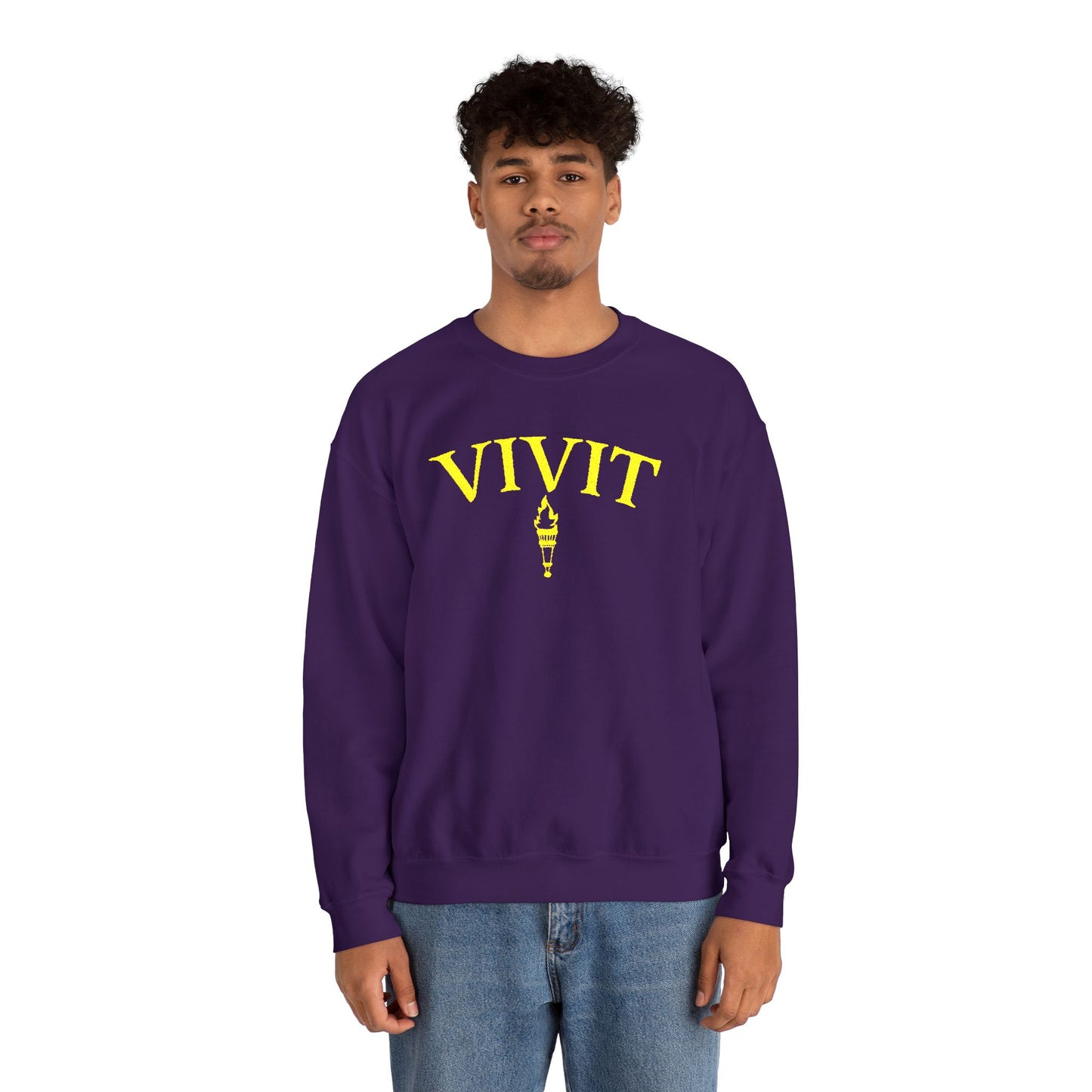 Vintage Style Unisex VIVIT Crewneck (Gold Logo)