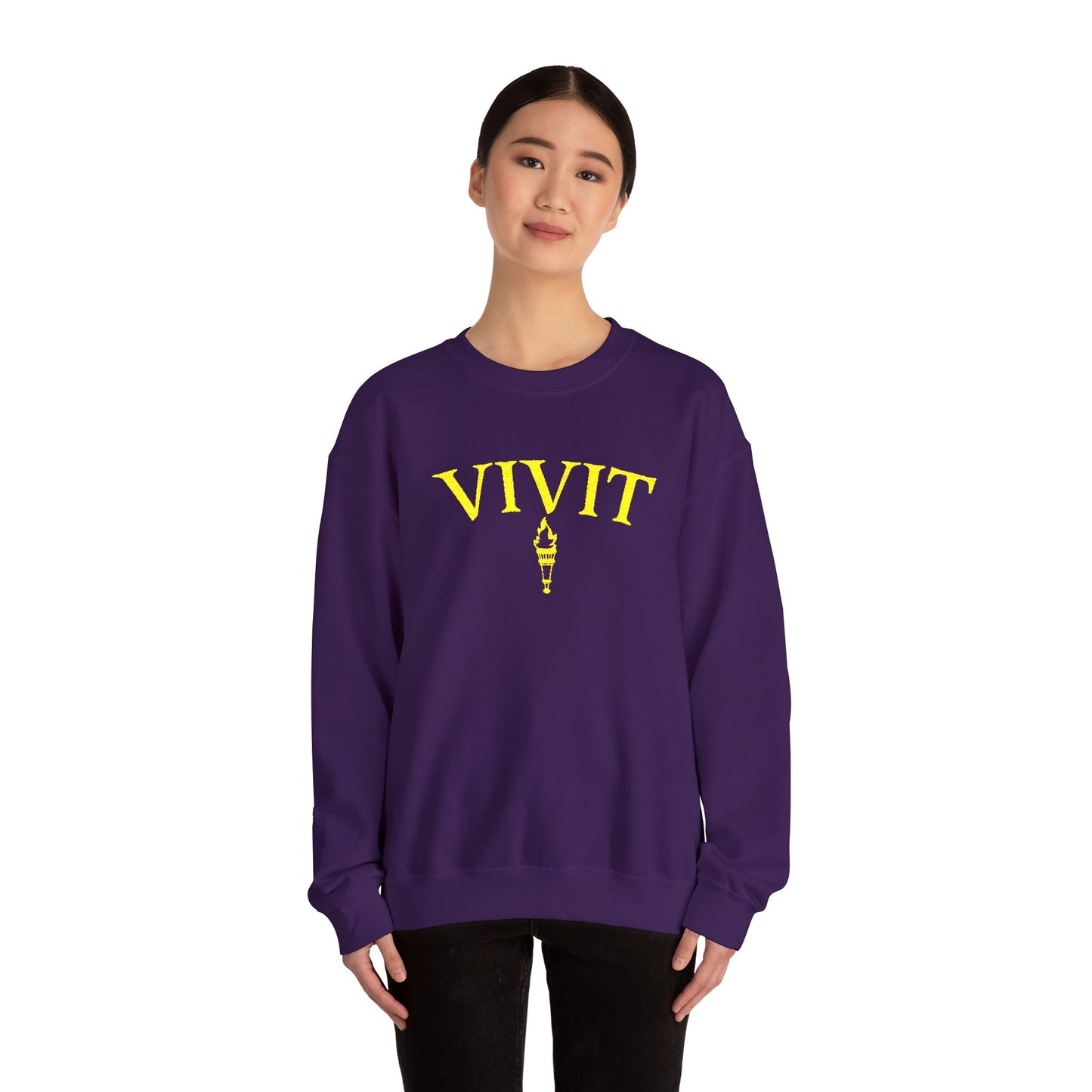 Vintage Style Unisex VIVIT Crewneck (Gold Logo)
