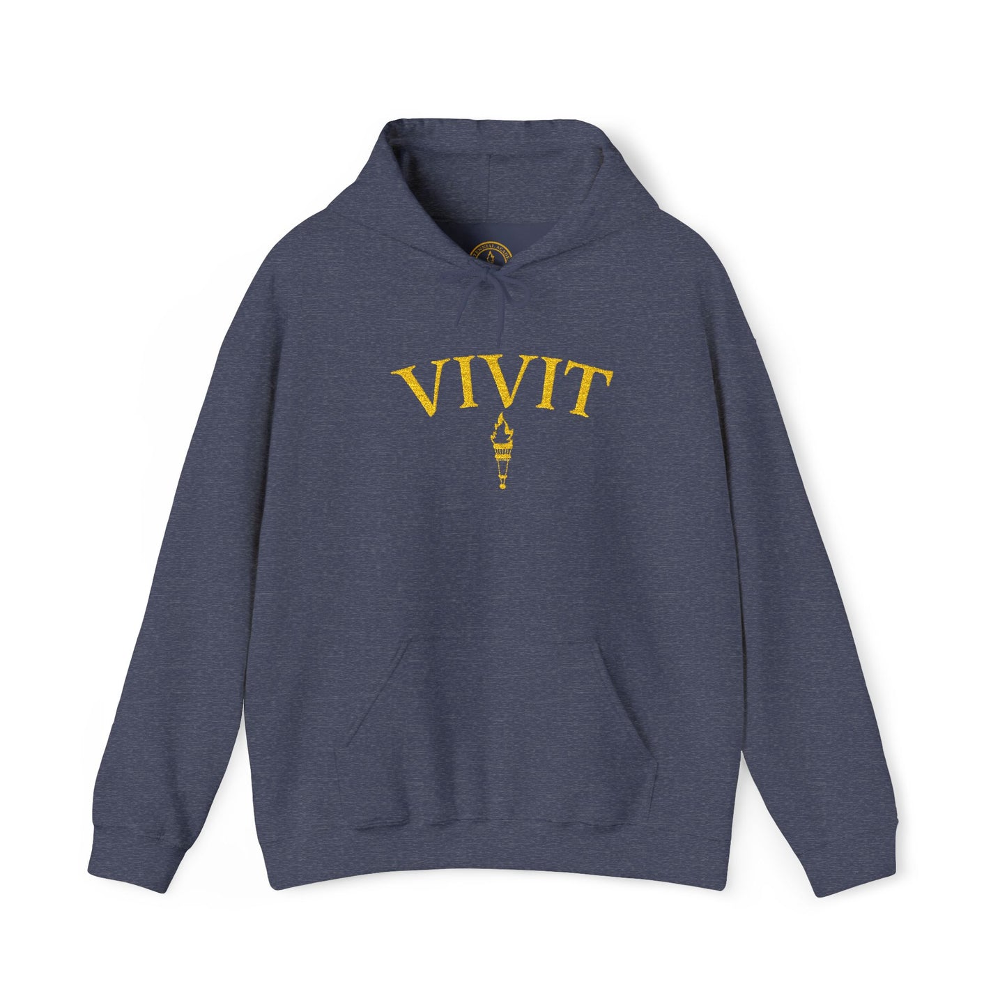 Vintage Style Unisex VIVIT Hoodie (Gold Logo)