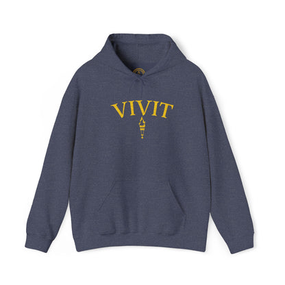 Vintage Style Unisex VIVIT Hoodie (Gold Logo)