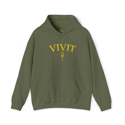 Vintage Style Unisex VIVIT Hoodie (Gold Logo)