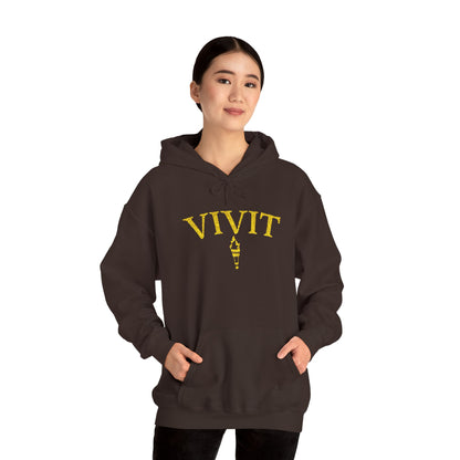 Vintage Style Unisex VIVIT Hoodie (Gold Logo)