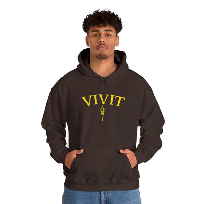 Vintage Style Unisex VIVIT Hoodie (Gold Logo)