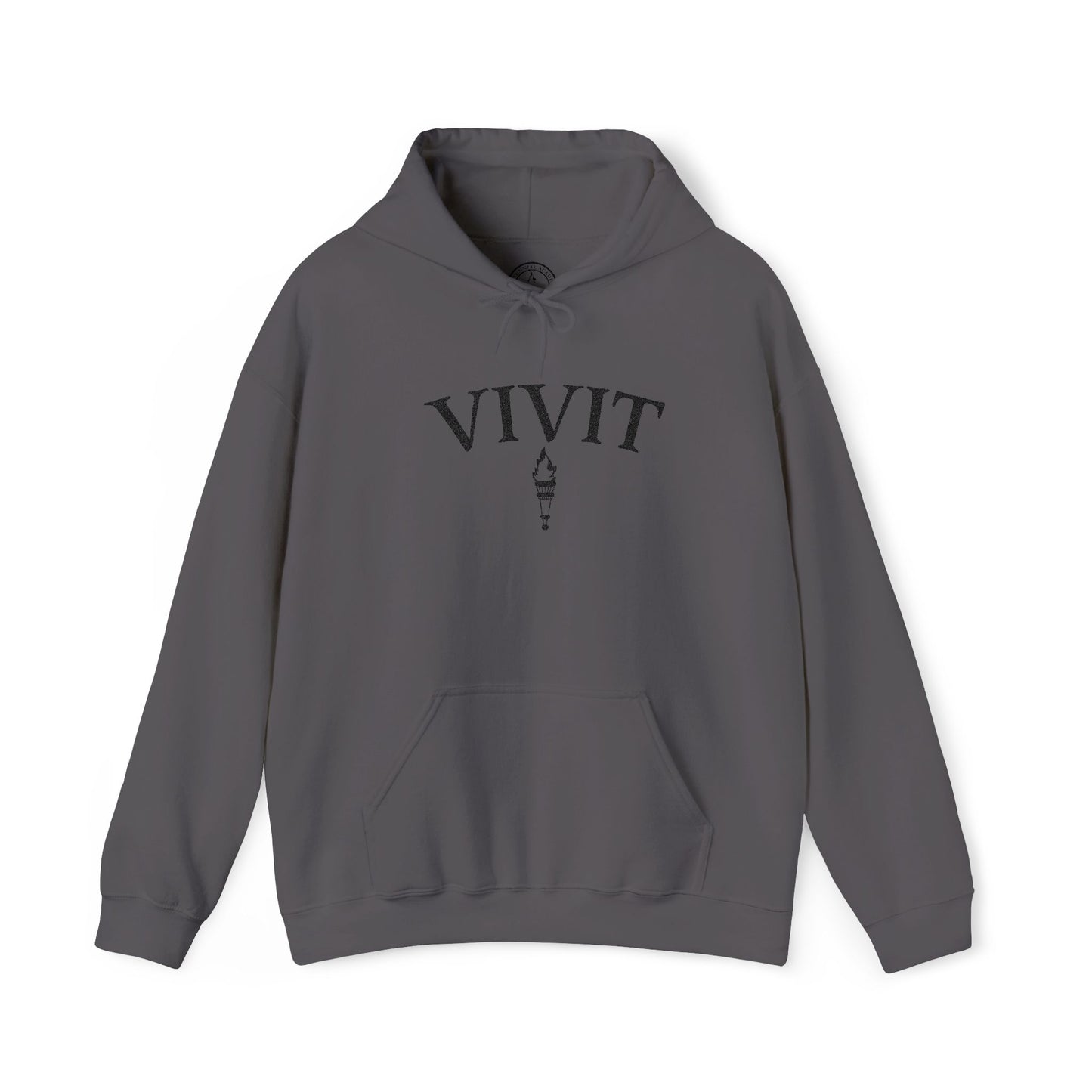 Vintage Style Unisex VIVIT Hoodie (Black Logo)