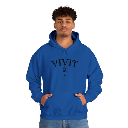 Vintage Style Unisex VIVIT Hoodie (Black Logo)