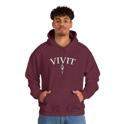 Vintage Style Unisex VIVIT Hoodie (White Logo)