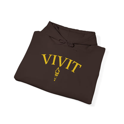 Vintage Style Unisex VIVIT Hoodie (Gold Logo)