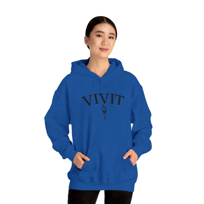 Vintage Style Unisex VIVIT Hoodie (Black Logo)