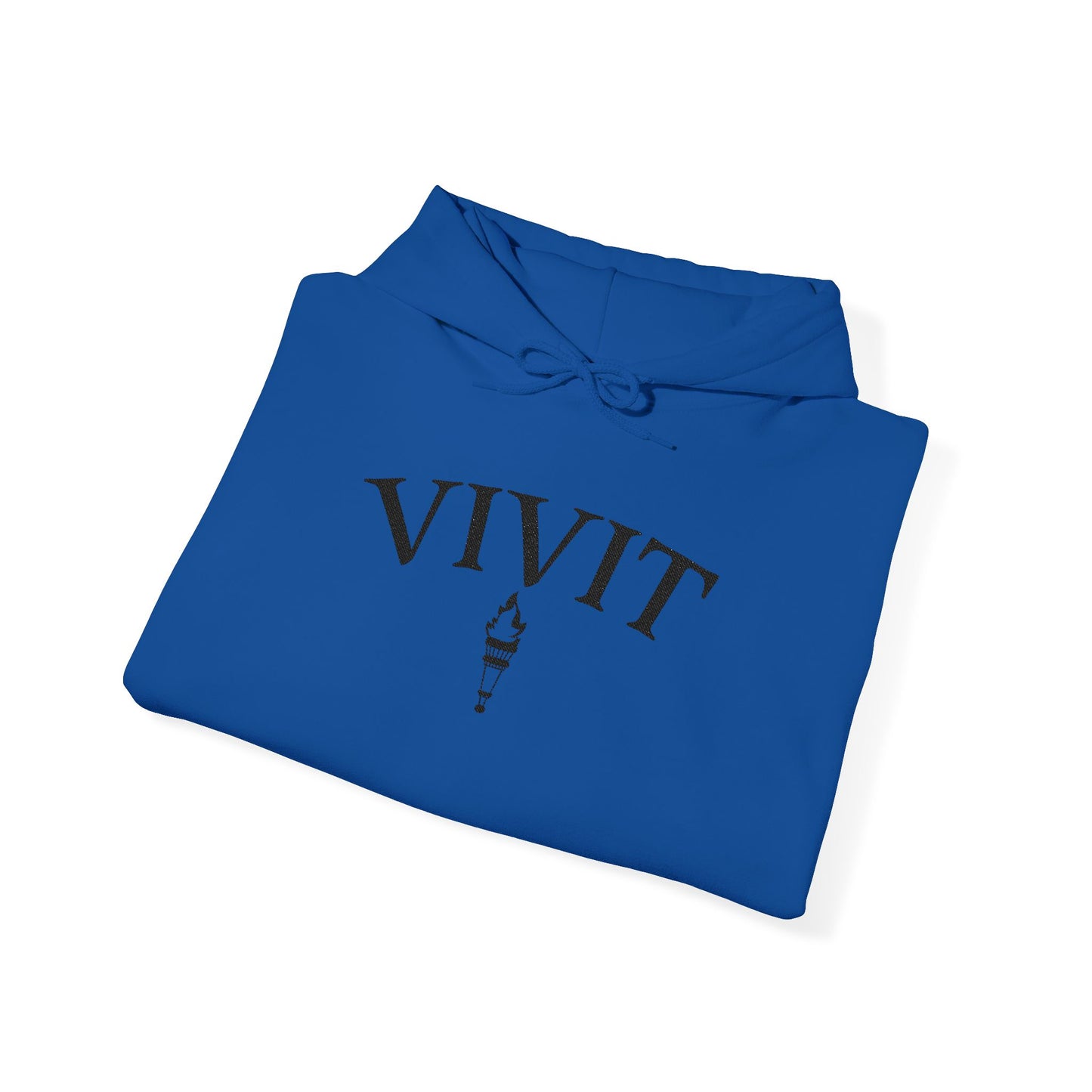 Vintage Style Unisex VIVIT Hoodie (Black Logo)