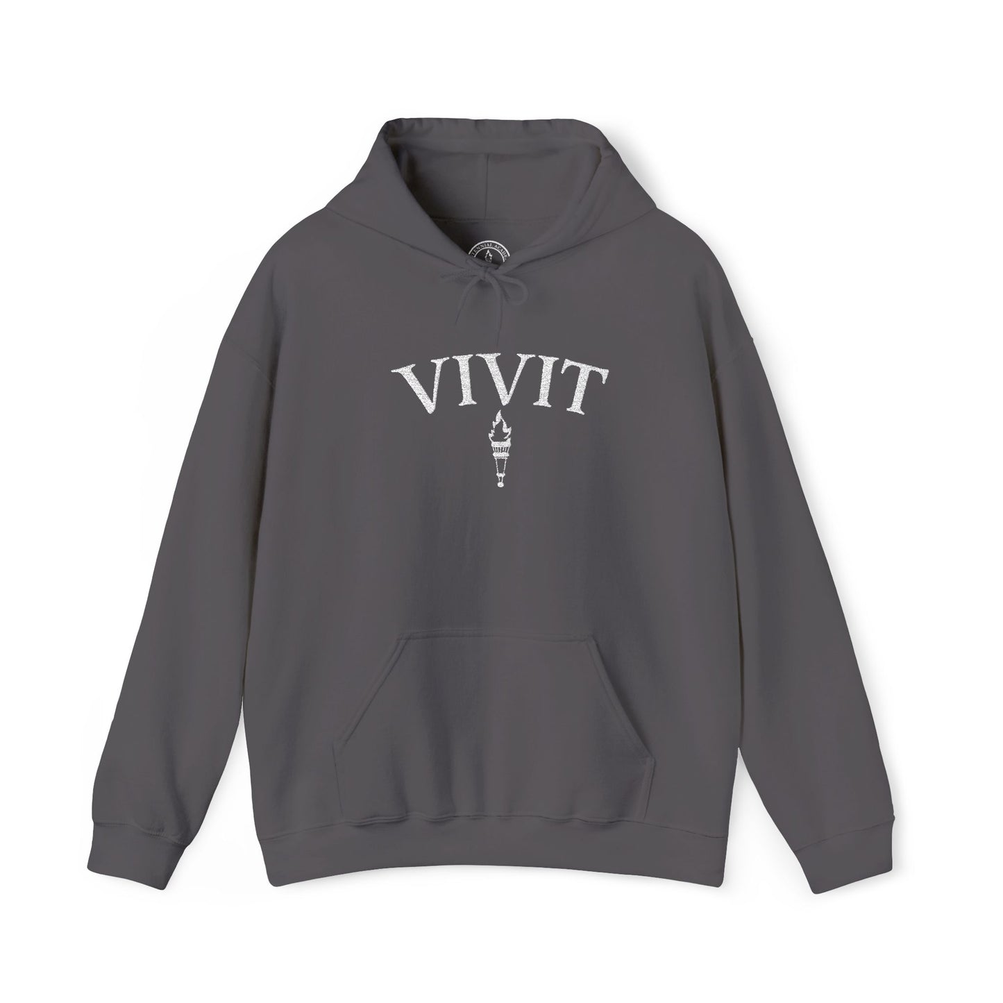 Vintage Style Unisex VIVIT Hoodie (White Logo)