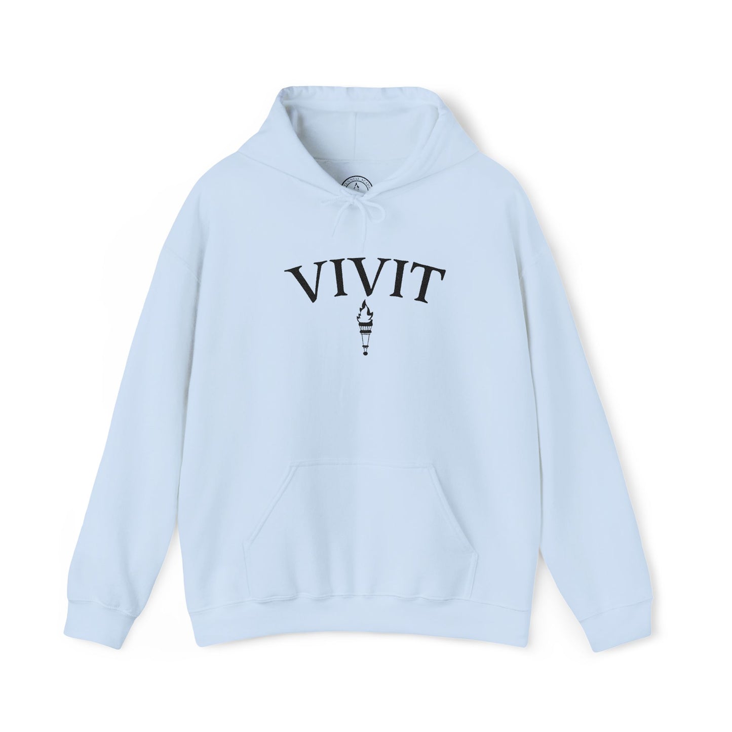 Vintage Style Unisex VIVIT Hoodie (Black Logo)
