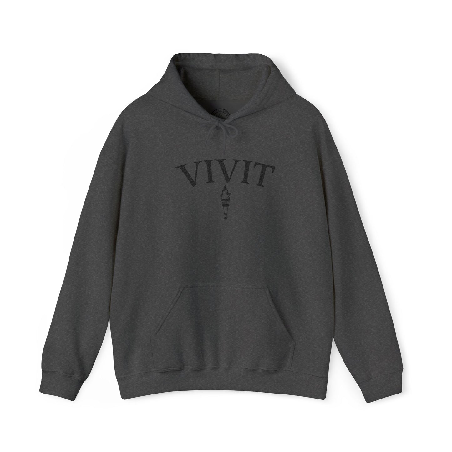 Vintage Style Unisex VIVIT Hoodie (Black Logo)