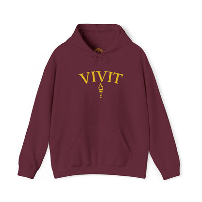 Vintage Style Unisex VIVIT Hoodie (Gold Logo)
